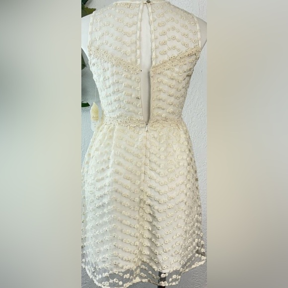 NWT✨Altar'd State Ivory Floral Lace Overlay Short Mini Dress Size Small - Picture 5 of 5